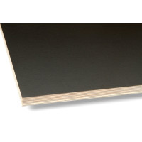 Plywood 9х1250х2500 F / F Riga (black)