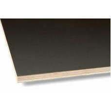Plywood 9х1250х2500 F / F Riga (black)