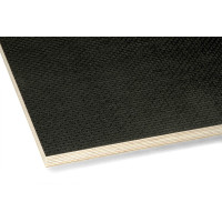 Фанера 24х1250х2500 F/W Riga (black)