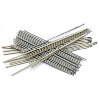 Stainless electrodes